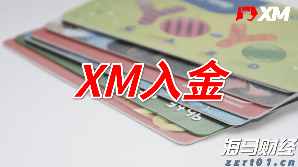 深耕创作沃土 讲好徐闻故事